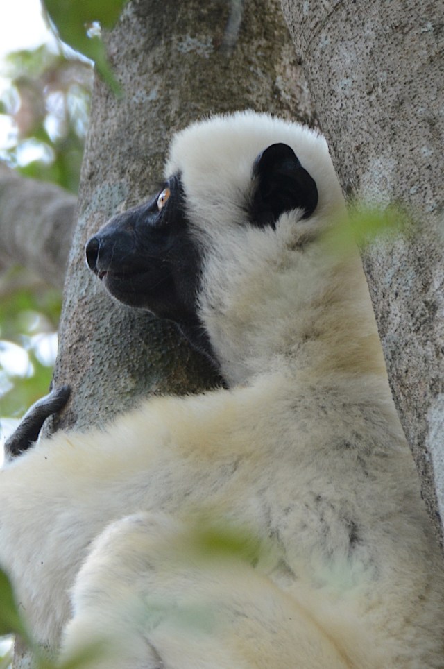 DSC_3746 - Version 3