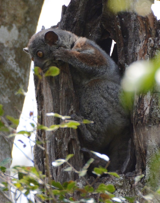 DSC_3749 - Version 3