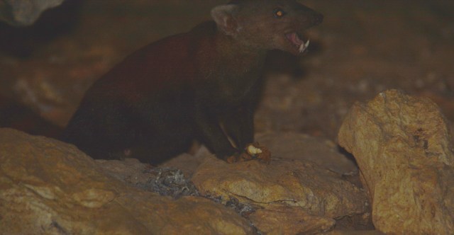 DSC_3784 - Version 2