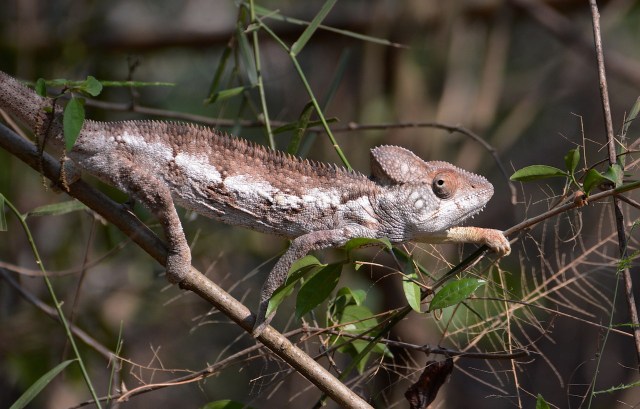 DSC_3791 - Version 2