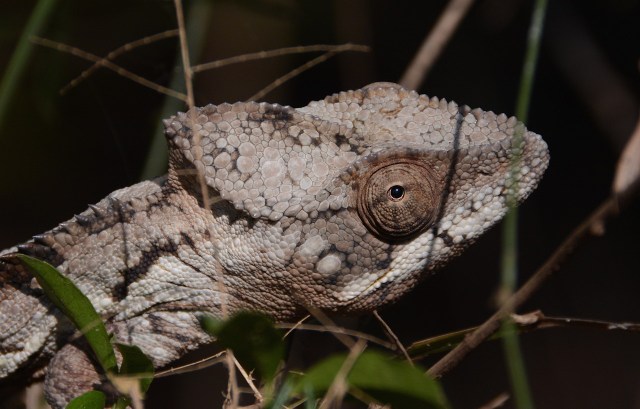 DSC_3799 - Version 2