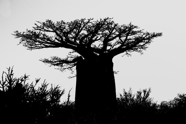 DSC_3996 - Version 2