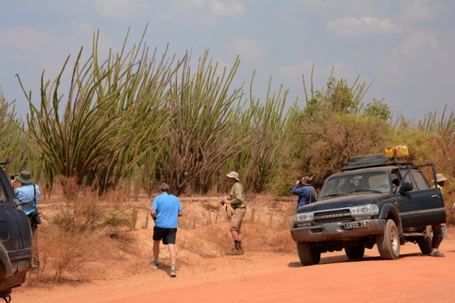 DSC_4213 - Version 2