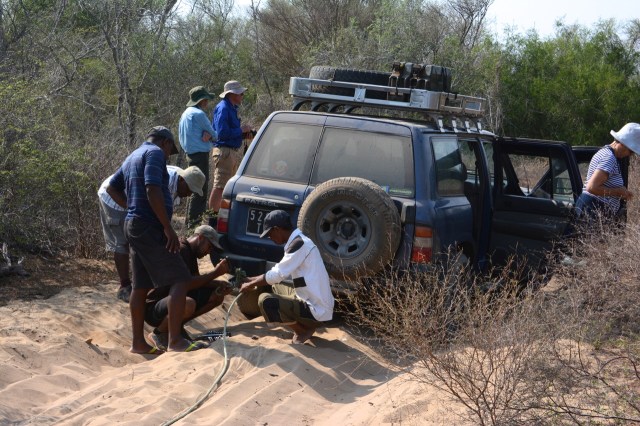 DSC_4284 - Version 2