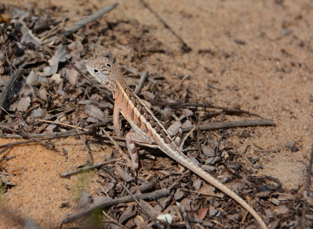 DSC_4322 - Version 2