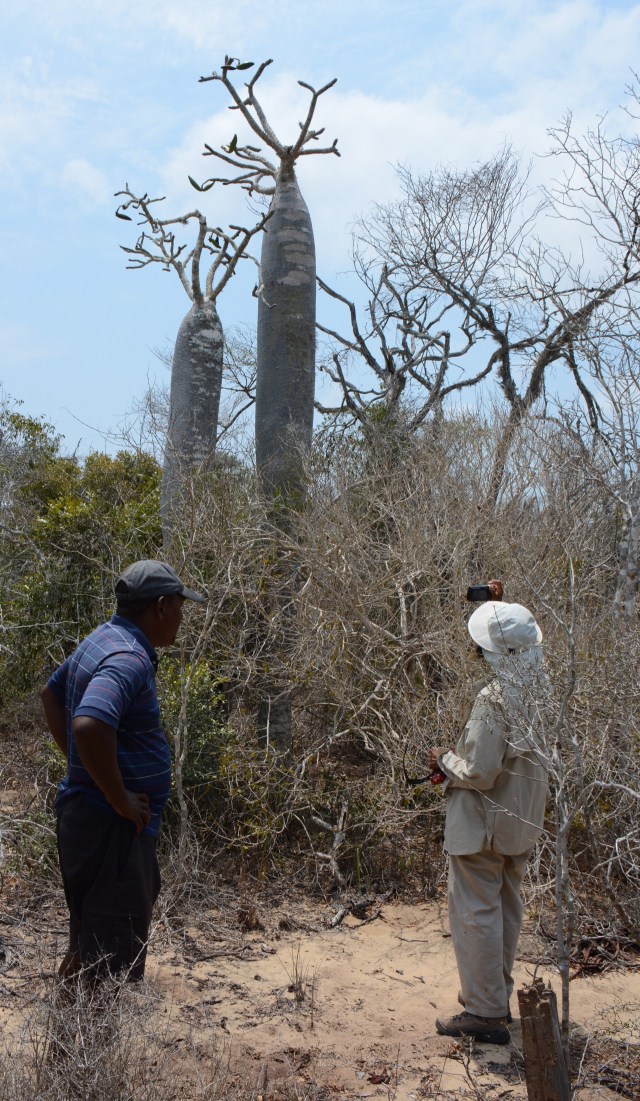 DSC_4343 - Version 2