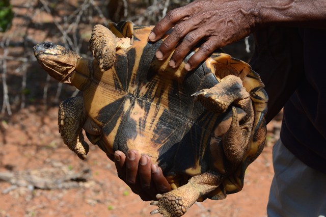 DSC_4515 - Version 2