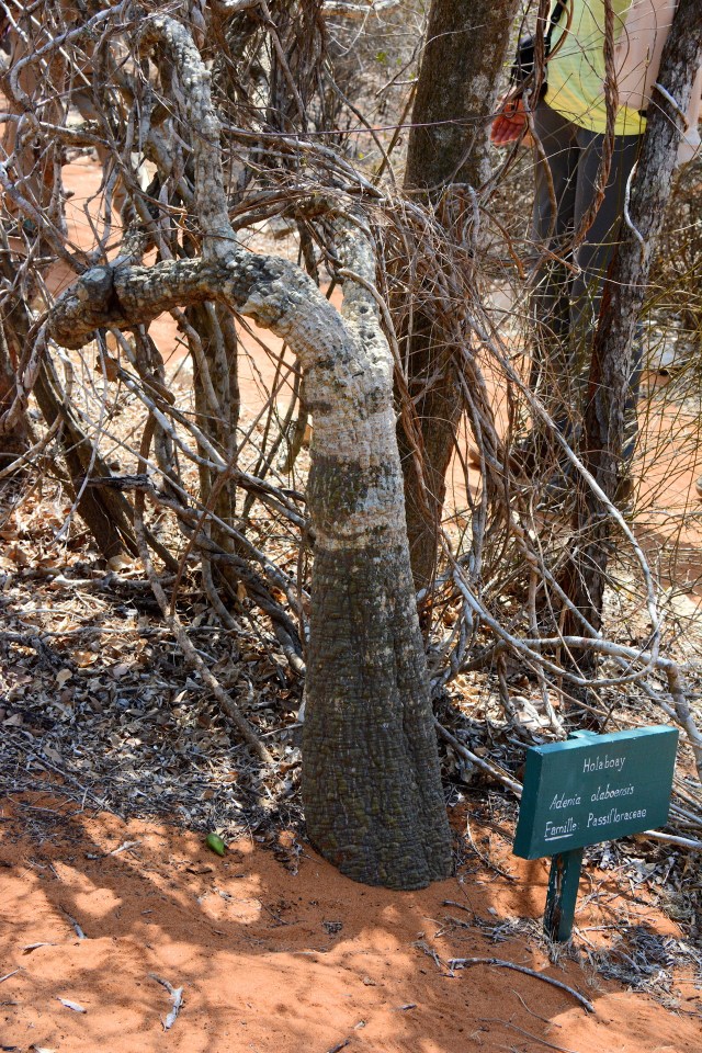 DSC_4542 - Version 2