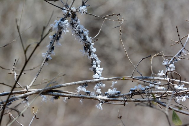 DSC_4677 - Version 2