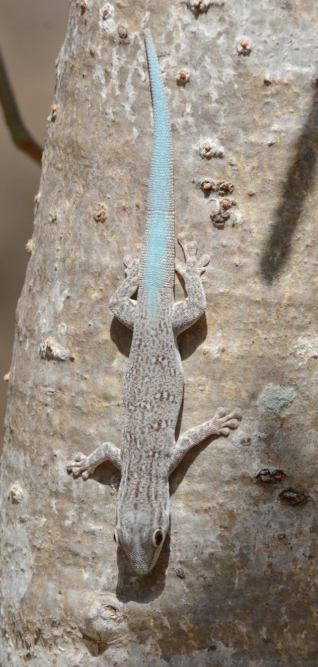 DSC_4723 - Version 2