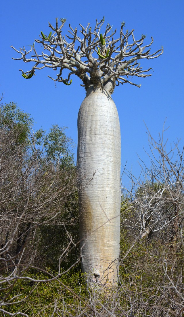 DSC_4774 - Version 2