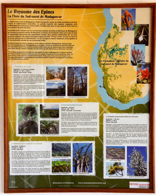 DSC_4817 - Version 2