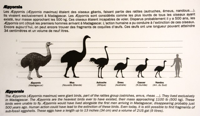 DSC_4827 - Version 2