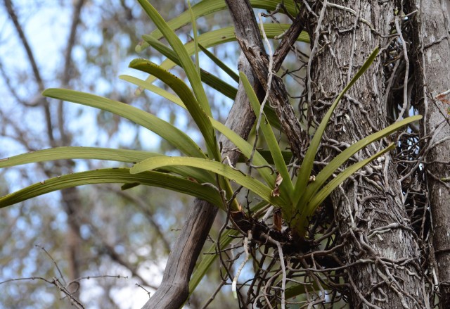 DSC_4970 - Version 2