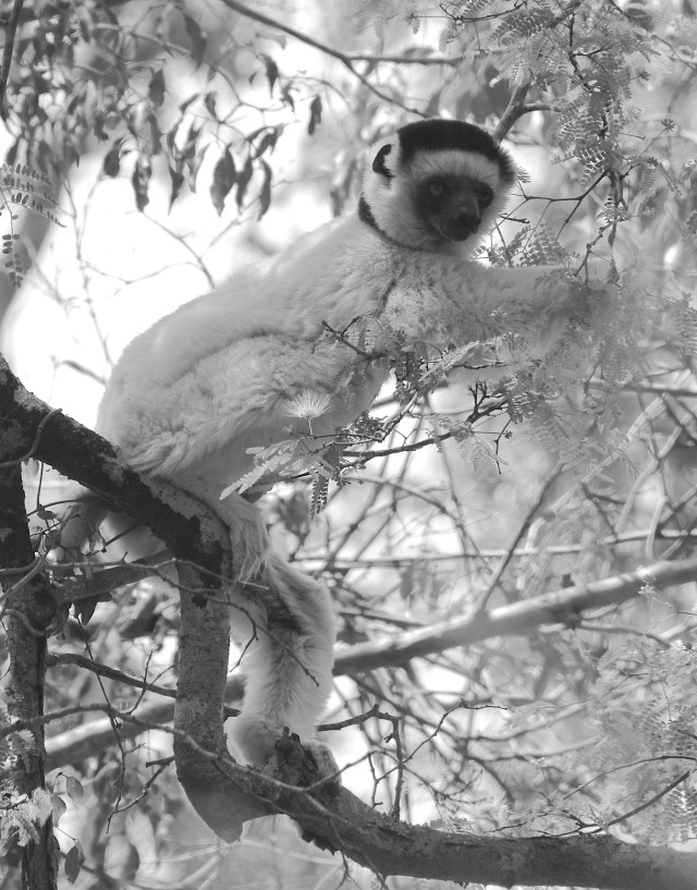 DSC_4993 - Version 2