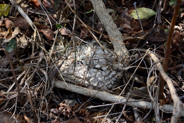 DSC_5024 - Version 2