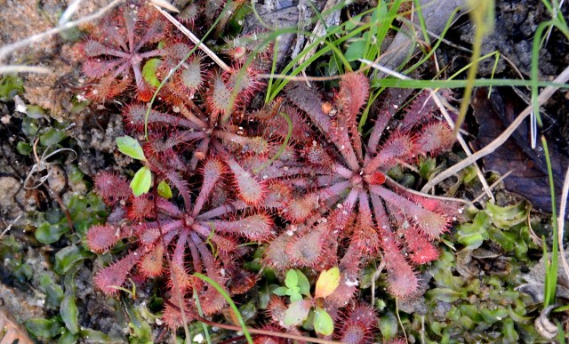 DSC_5078 - Version 2