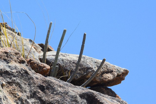 DSC_5135 - Version 2