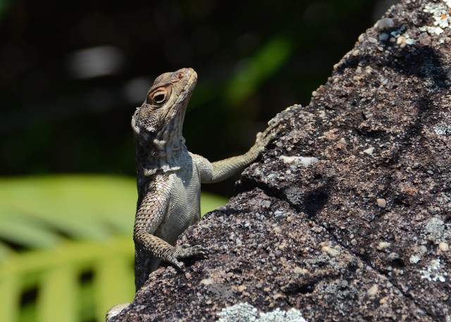 DSC_5178 - Version 2