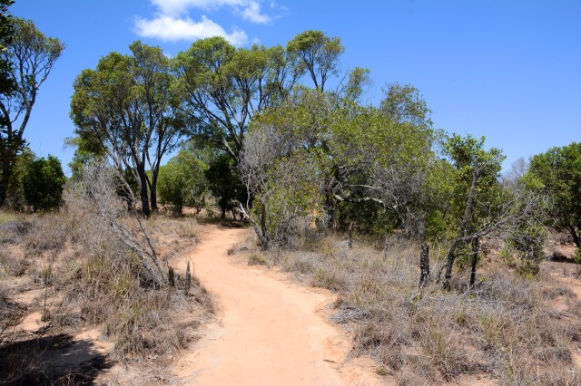 DSC_5226 - Version 2