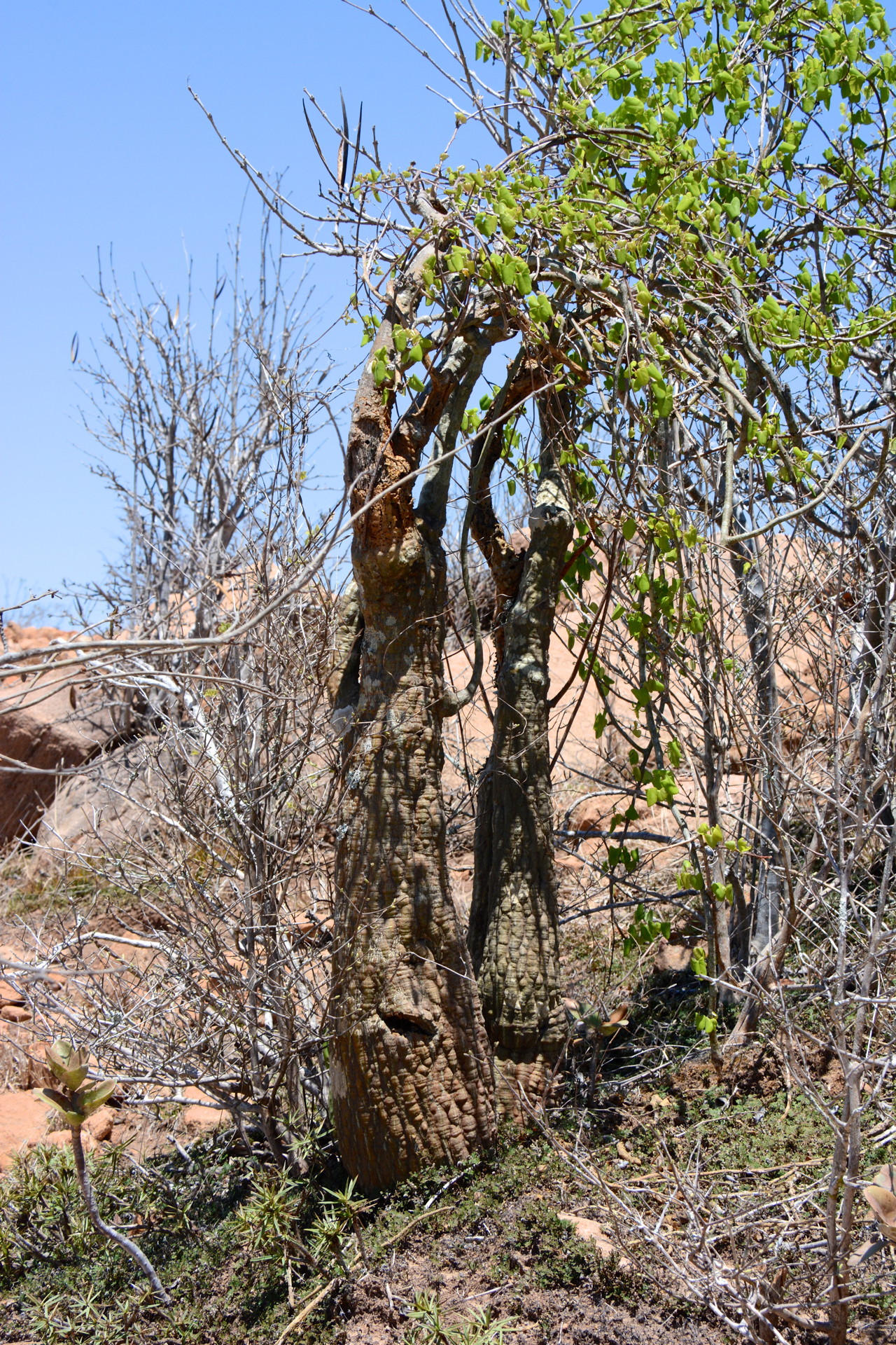 DSC_5270 - Version 2