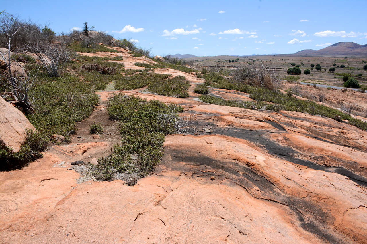 DSC_5287 - Version 2