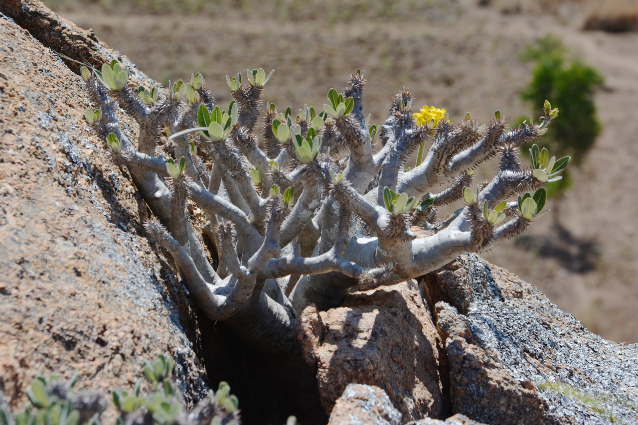 DSC_5465 - Version 2