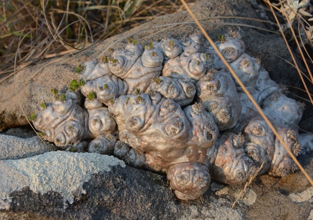 DSC_5839 - Version 2