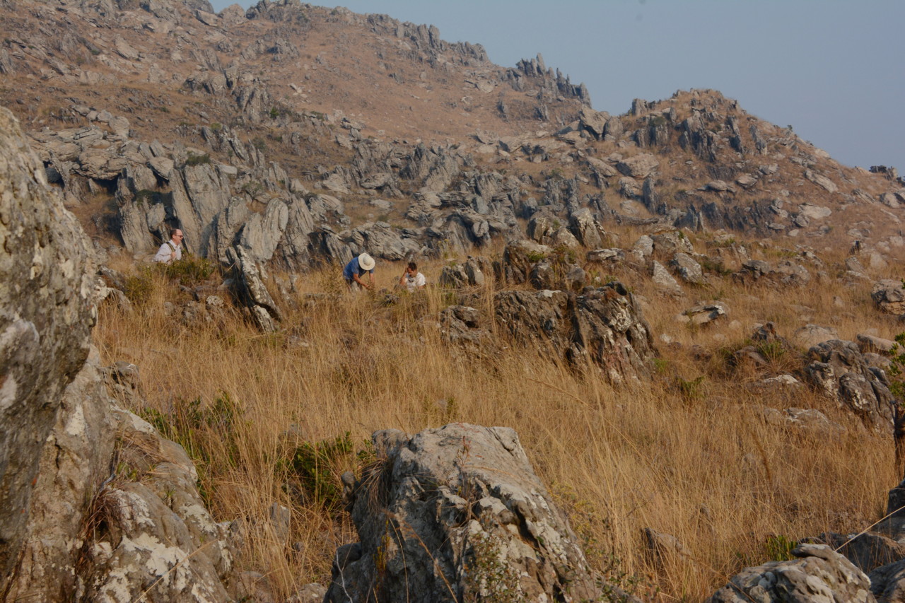 DSC_5844 - Version 2