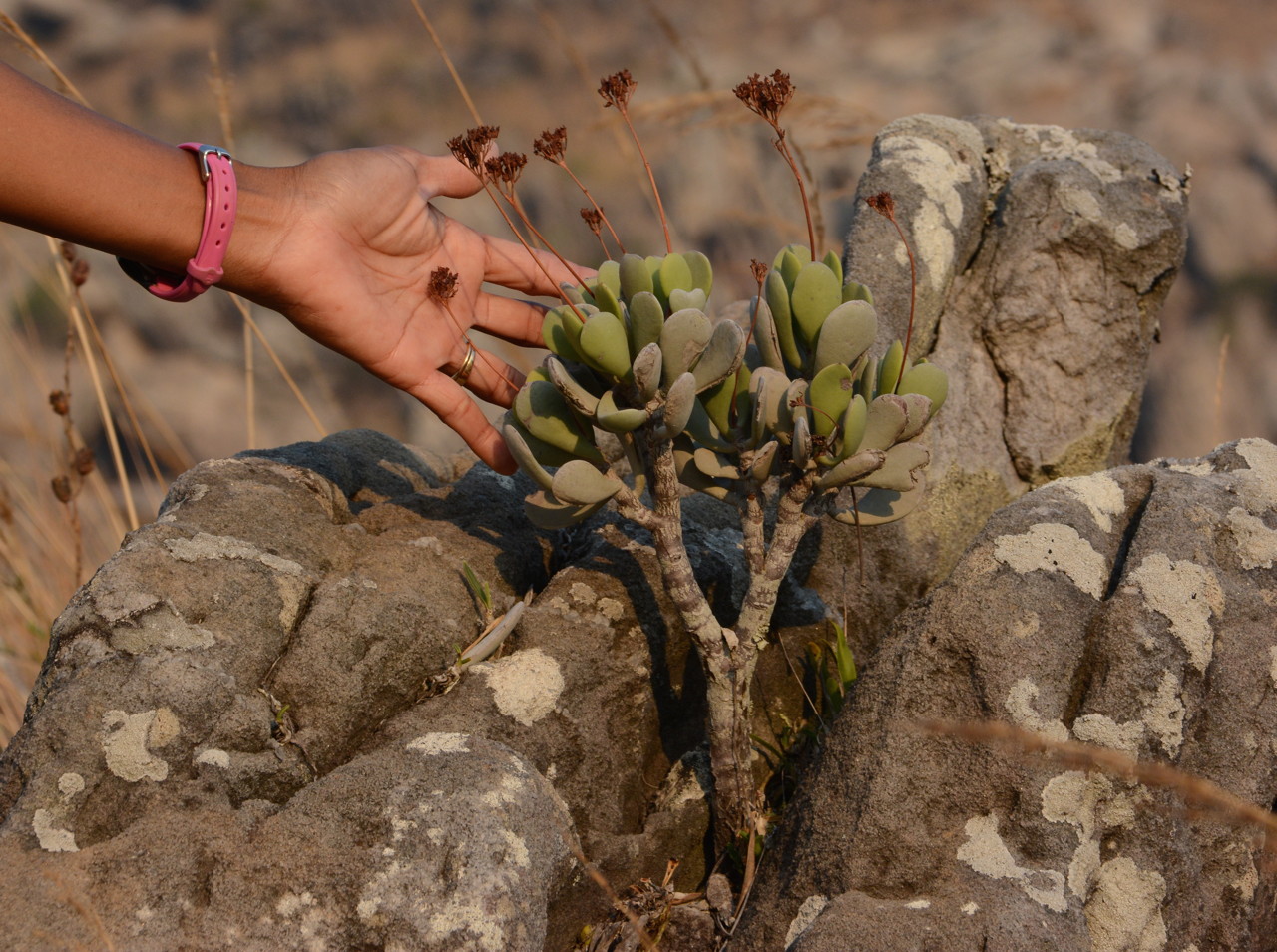 DSC_5847 - Version 2