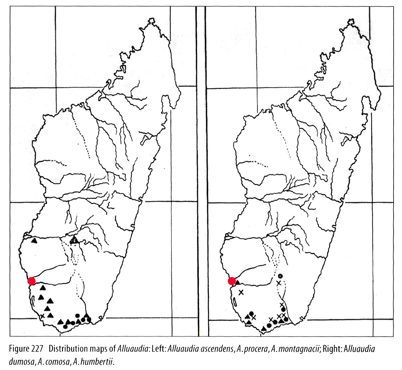 alluaudia_distributions_rauh_mod