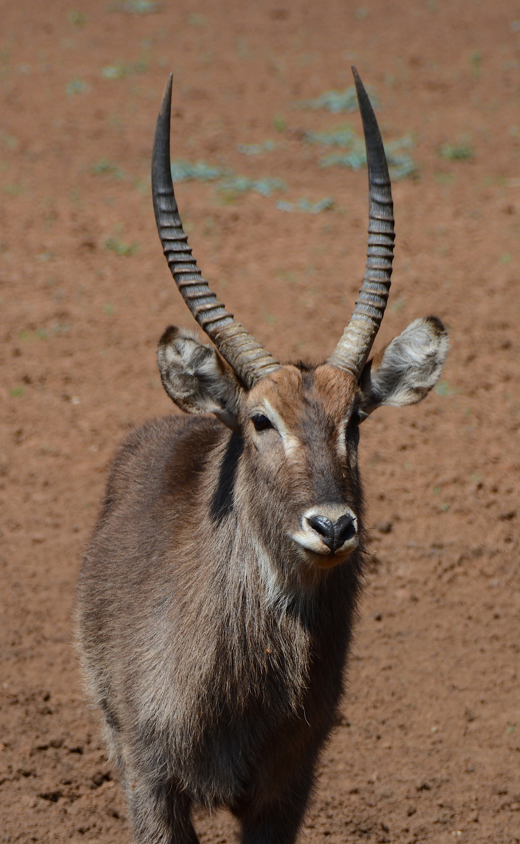 DSC_1504 - Version 2