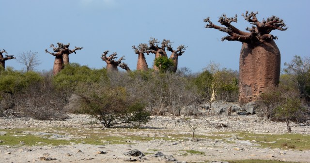 DSC_4276 - Version 2