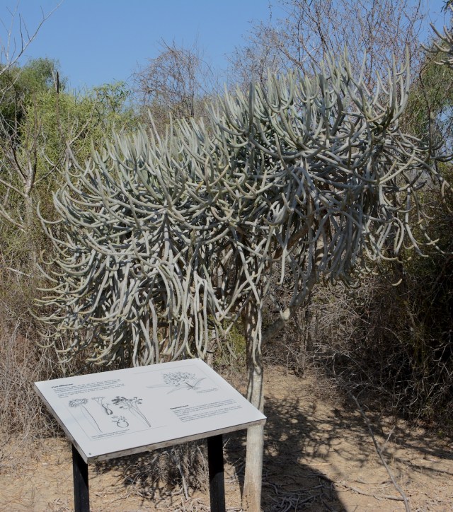 10.145  There were signs with interesting information along the trail