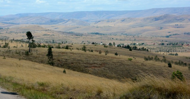 DSC_5910 - Version 2