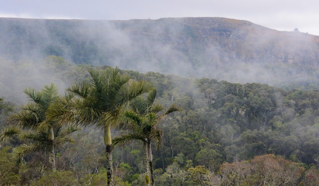 DSC_6010 - Version 2