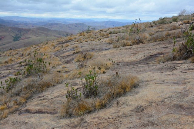 DSC_6074 - Version 2