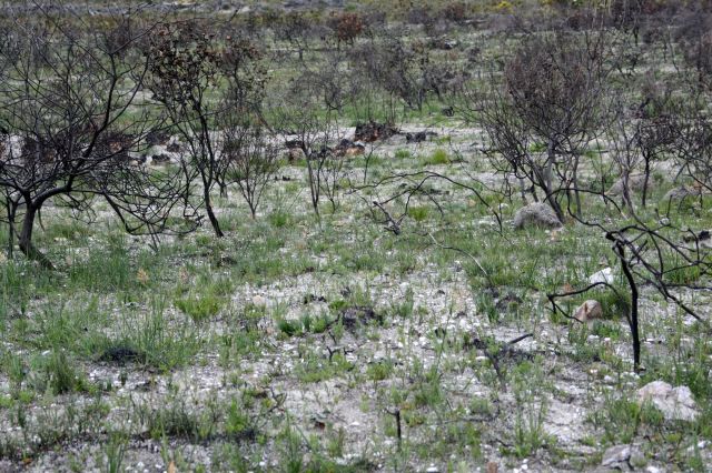 DSC_2202 - Version 2