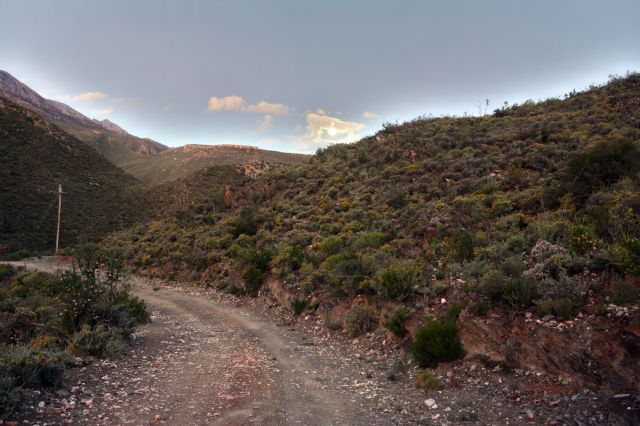 DSC_2631 - Version 2