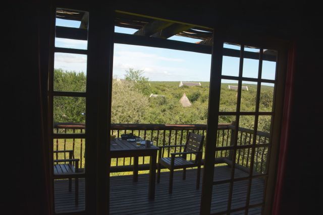 DSC_2720 - Version 2