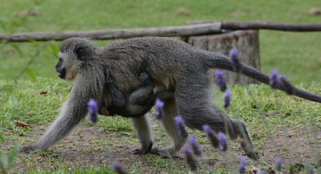 DSC_2844 - Version 2