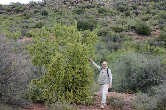 DSC_3043 - Version 3