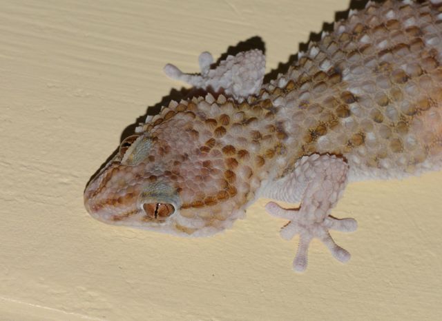 DSC_3285 - Version 2