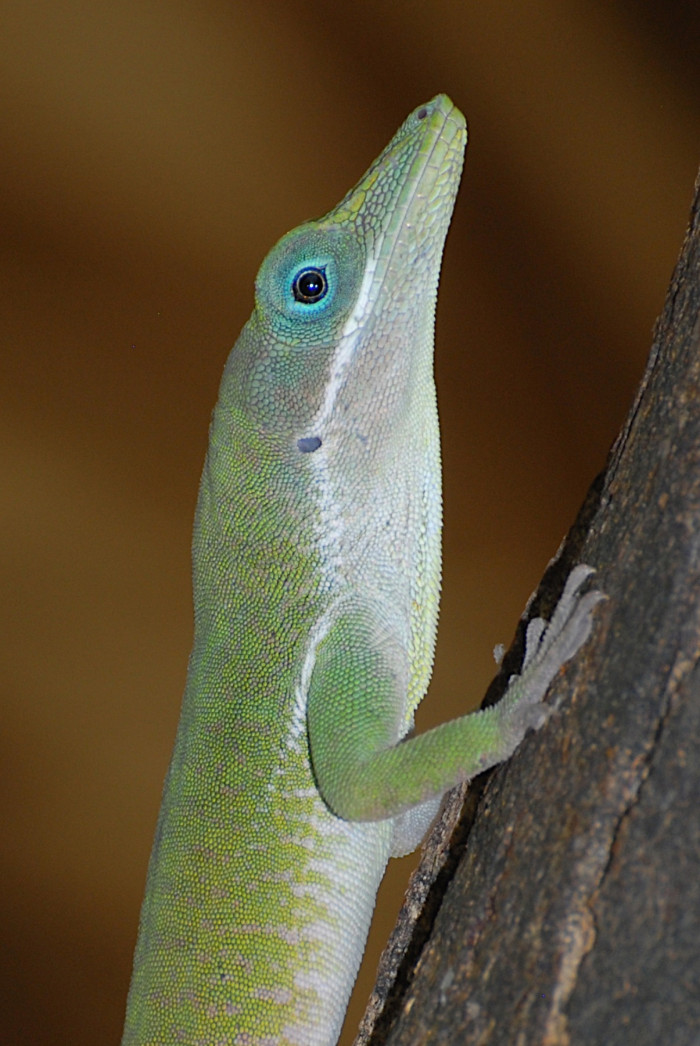 dsc_8262-version-3mod