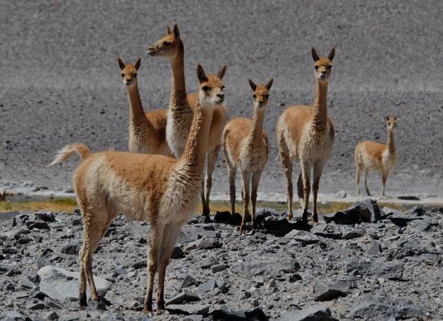 _DSC0284 - Version 2