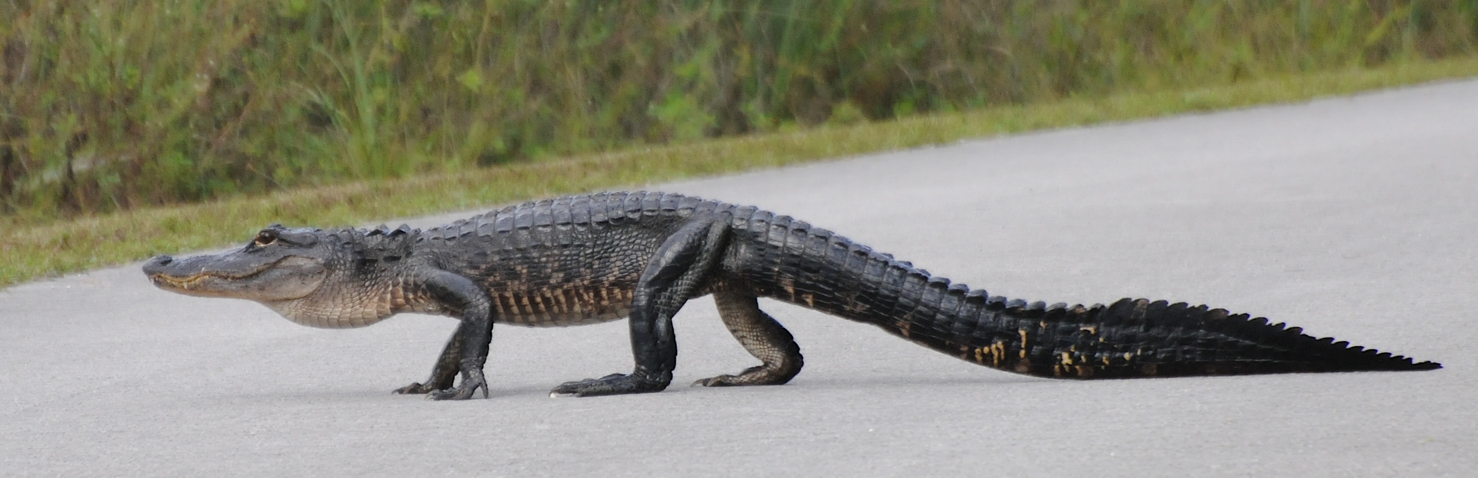 DSC_0119 - Version 2