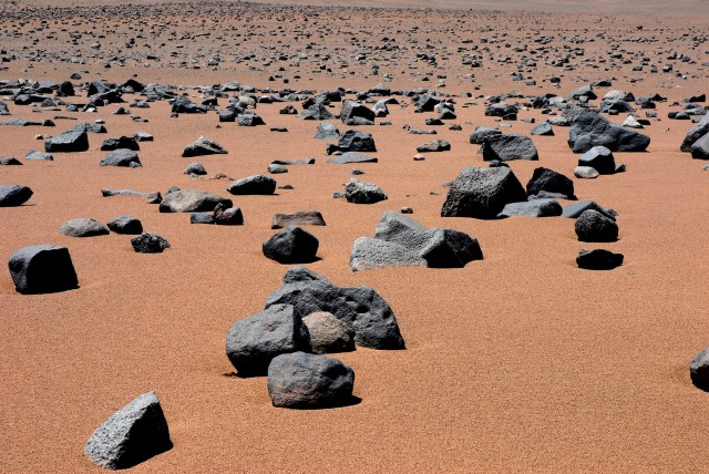 DSC_7383 - Version 2