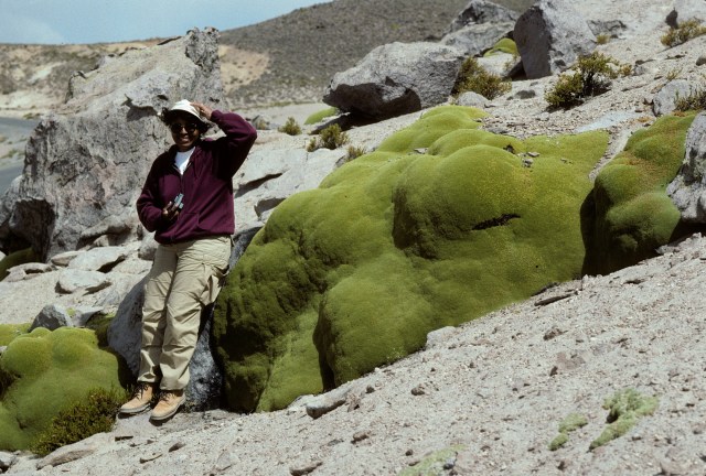 jan9600# 13ee - Version 2