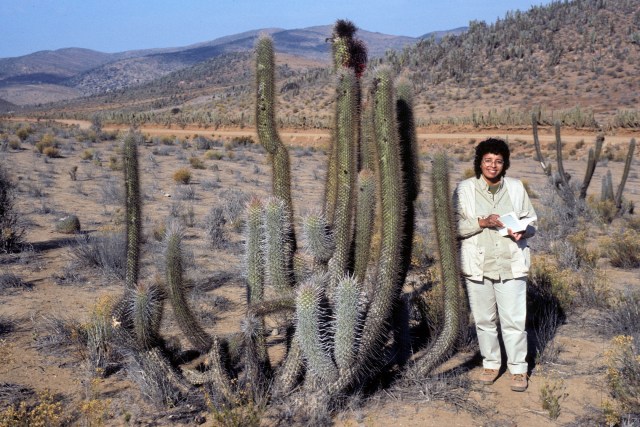 may00mn # 34u - Version 2