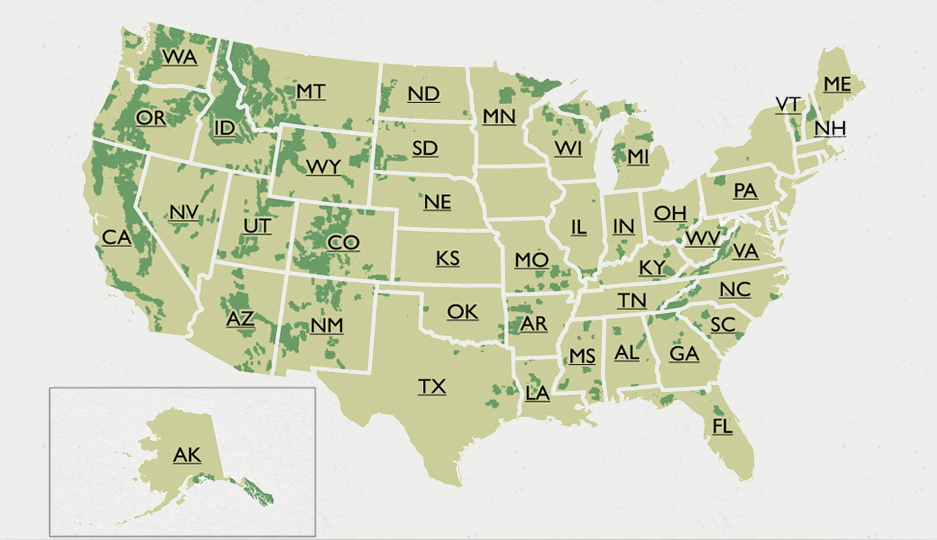 screen_shot_2018-07-20_at_8.02.30_pm